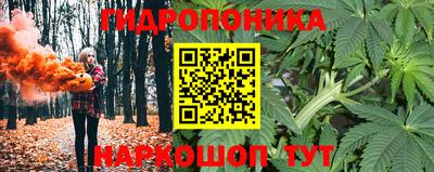 jwh Свободный