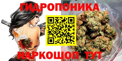 jwh Свободный
