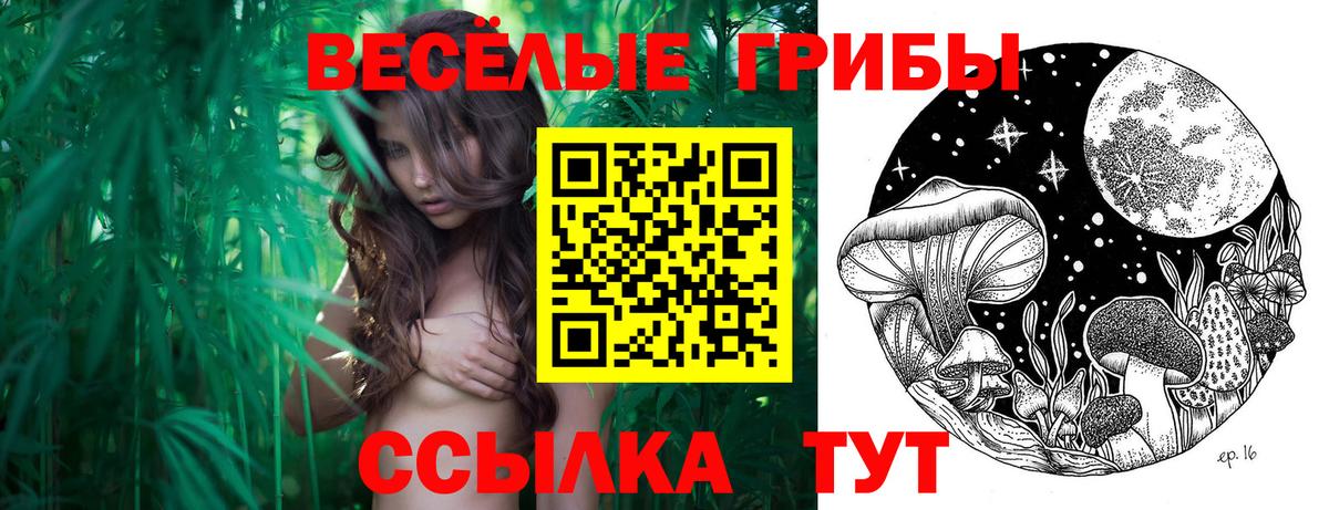 Галлюциногенные грибы прущие грибы Копейск